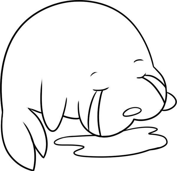 哭泣的海狮简笔画怎么画 哭泣的海狮简笔画步骤