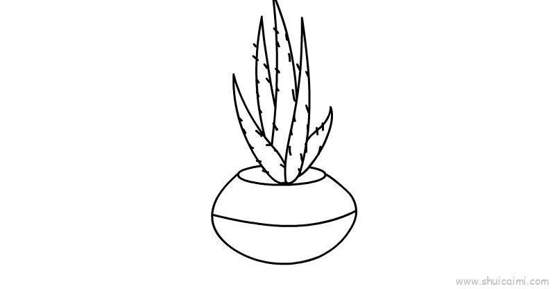 芦荟儿童画怎么画 芦荟简笔画图片大全