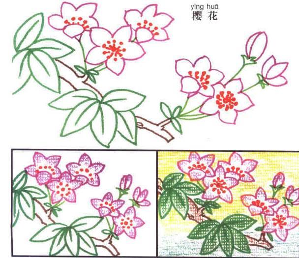 樱花树简笔画 樱花树简笔画马克笔