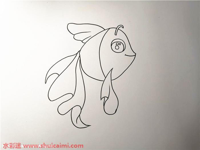 小金鱼怎么画 小金鱼简笔画画法