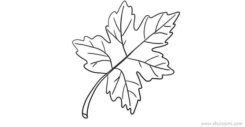 树叶儿童画怎么画 树叶简笔画图片大全