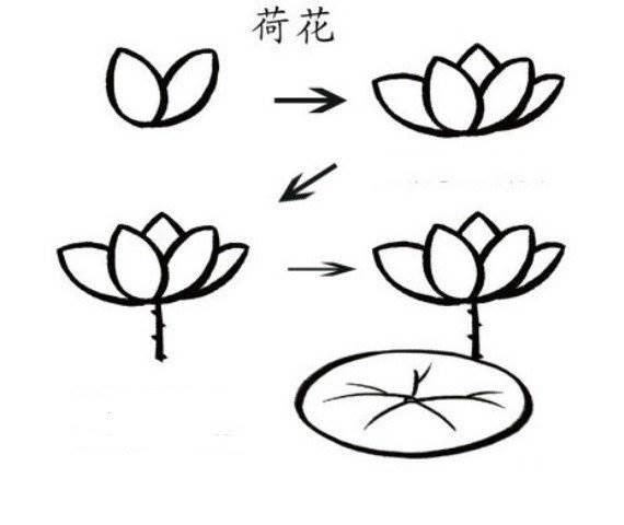 荷花的简笔画 荷花的简笔画简单漂亮