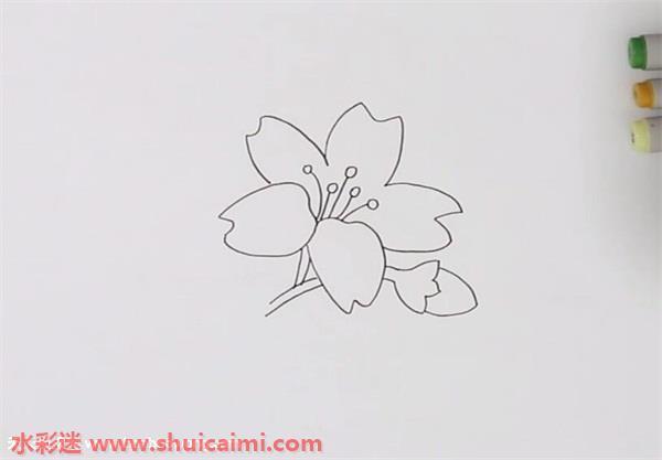 迎春花怎么画 迎春花简笔画彩色