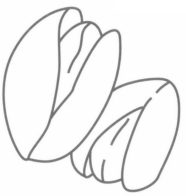 坚果简笔画 植物大战僵尸里面的坚果简笔画