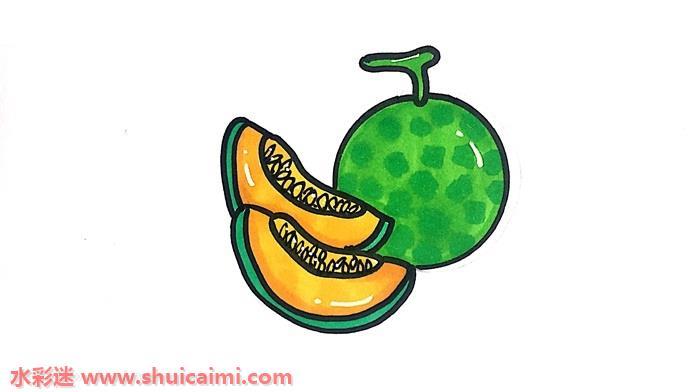 哈密瓜怎么画 哈密瓜简笔画步骤