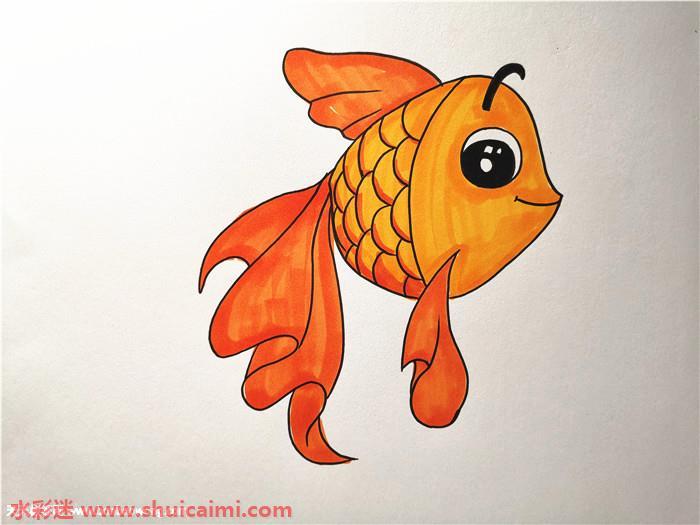 小金鱼怎么画 小金鱼简笔画画法