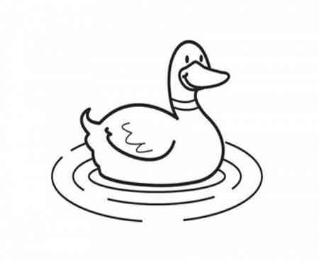 小鸭简笔画图片大全 小鸭简笔画图片大全彩色