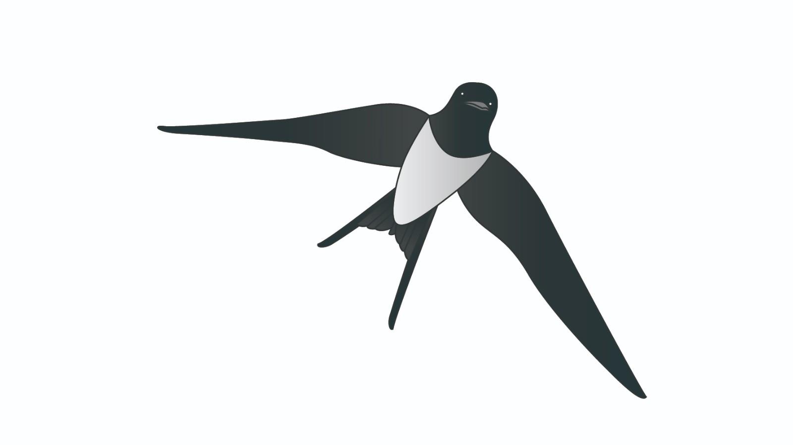 大雁简笔画怎么画 大雁简笔画步骤