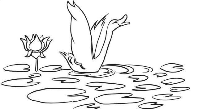 荷花荷叶简笔画 荷花荷叶简笔画彩色