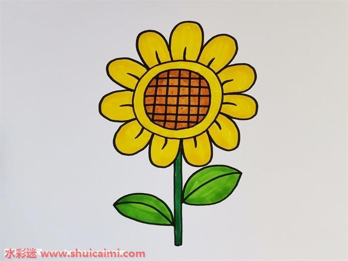 向日葵彩色怎么画 简笔画向日葵上色画法步骤
