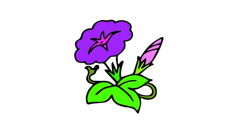 牵牛花简笔画怎么画 牵牛花简笔画简单