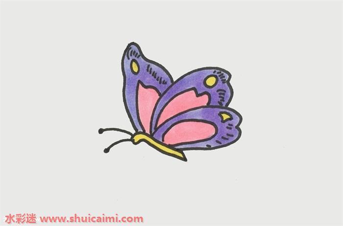蝴蝶怎么画 一笔一画教蝴蝶简笔画彩色