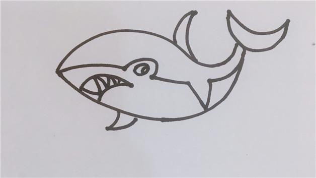 大白鲨简笔画怎么画 大白鲨简笔画顺序
