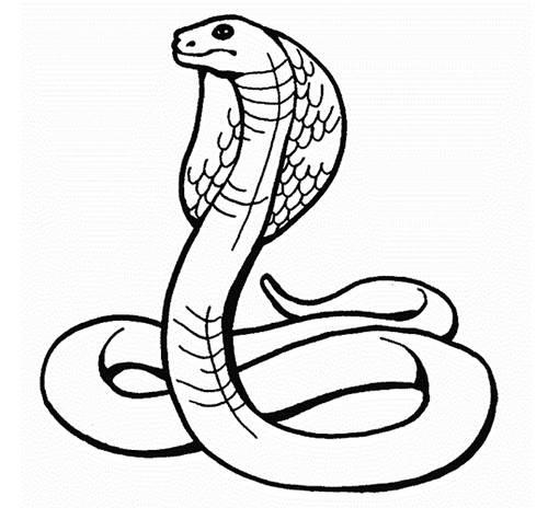 蛇简笔画 蛇简笔画儿童画