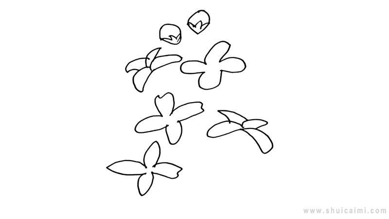 丁香结简笔画怎么画 丁香结简笔画好看