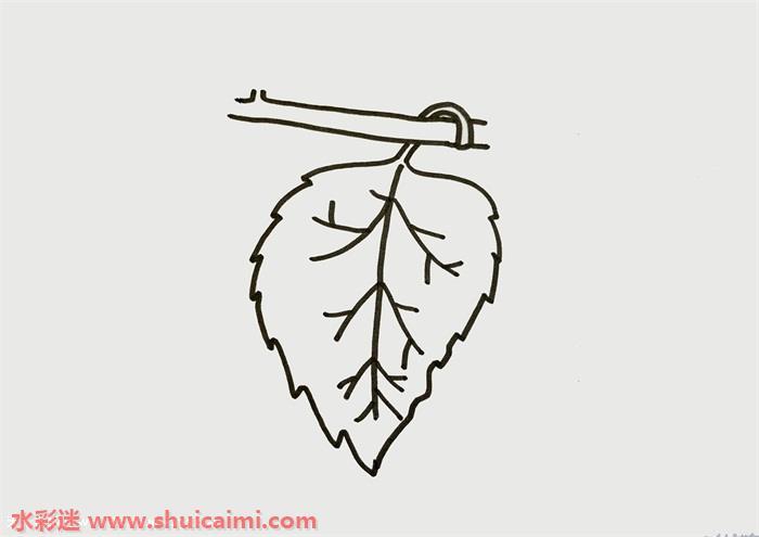 桑叶怎么画 桑叶简笔画简单易画彩色