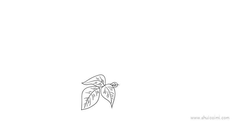 母亲节花教程儿童画怎么画 母亲节花教程简笔画画法