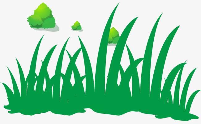 草丛简笔画 草丛简笔画简单漂亮