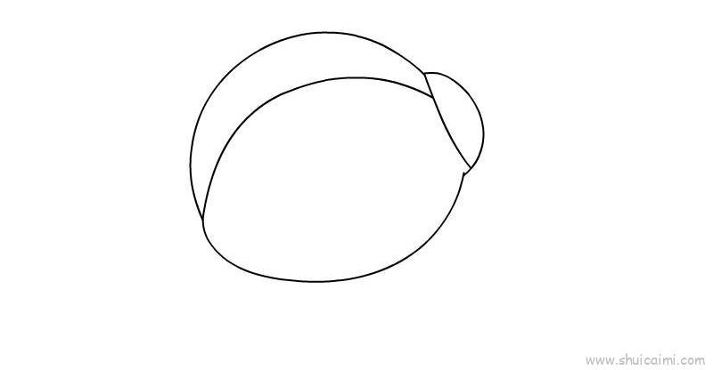 瓢虫插画儿童画怎么画 瓢虫插画简笔画顺序