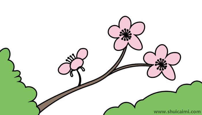 樱花简笔画怎么画 樱花简笔画画法