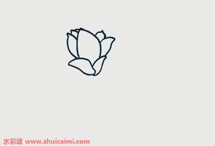 玉兰花怎么画 玉兰花简笔画步骤