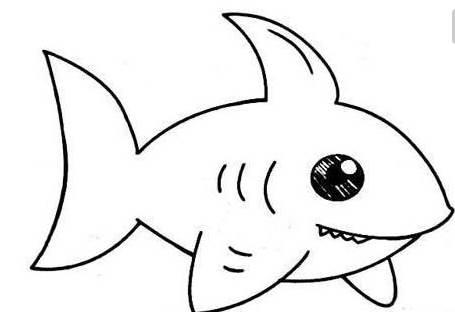沙鱼简笔画图片大全 沙鱼简笔画图片大全彩色