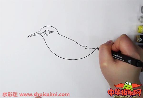 杜鹃鸟怎么画 杜鹃鸟简笔画步骤