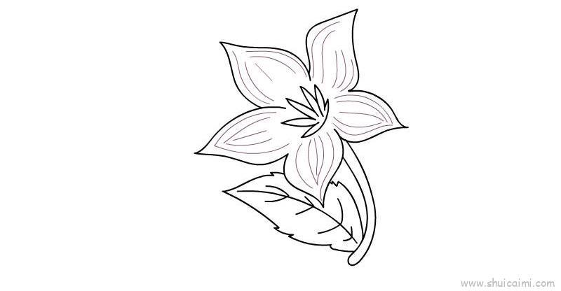 紫茉莉儿童画怎么画 紫茉莉简笔画简单