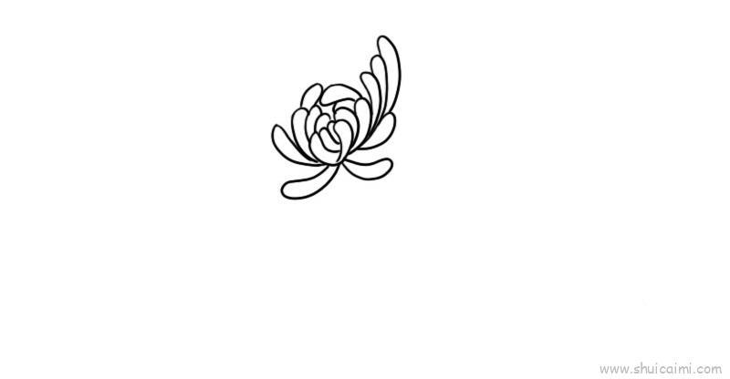 菊花儿童画怎么画 菊花简笔画图片