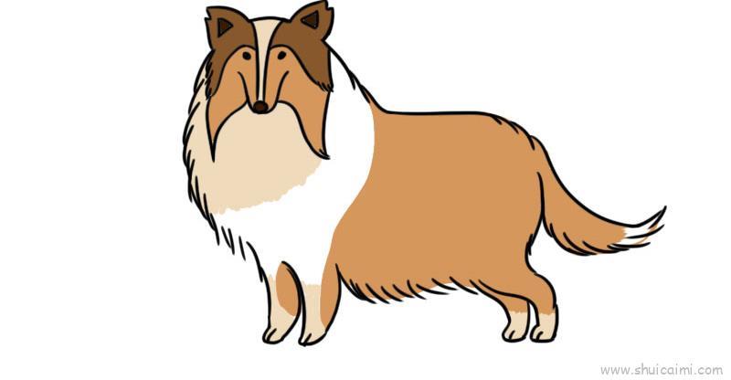 牧羊犬儿童画怎么画 牧羊犬简笔画简单又好看