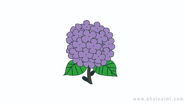 绣球花简笔画怎么画 绣球花简笔画画法