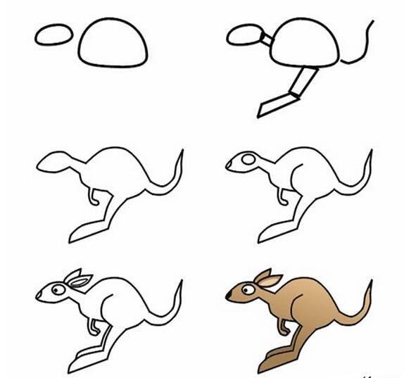袋鼠简笔画 袋鼠简笔画图片