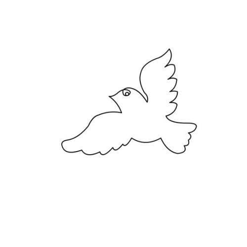 飞鸟简笔画 飞鸟简笔画图片大全