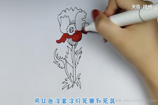 虞美人简笔画怎么画 虞美人简笔画画法