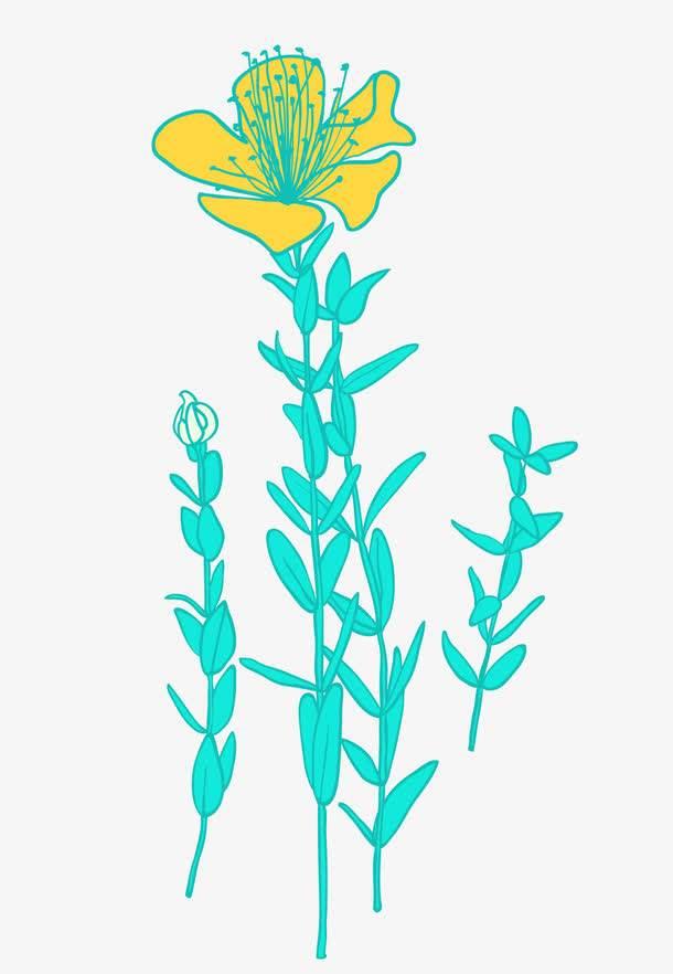 烟草花简笔画 烟草花简笔画简单又漂亮