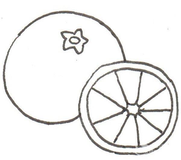 橙子的简笔画怎么画 橙子的简笔画顺序
