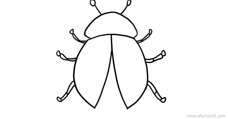 七星瓢虫儿童画怎么画 七星瓢虫简笔画步骤