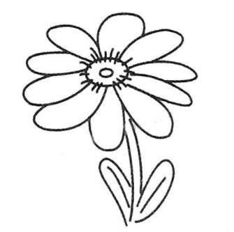 画菊花简笔画图片大全 画菊花简笔画图片大全一年级