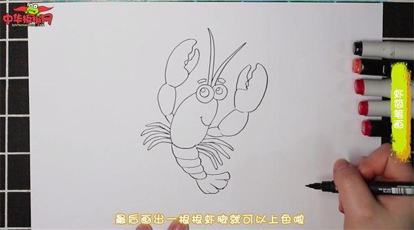 虾怎么画 虾简笔画图片带颜色