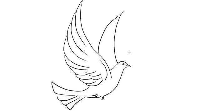 和平鸽简笔画 和平鸽简笔画儿童简笔画