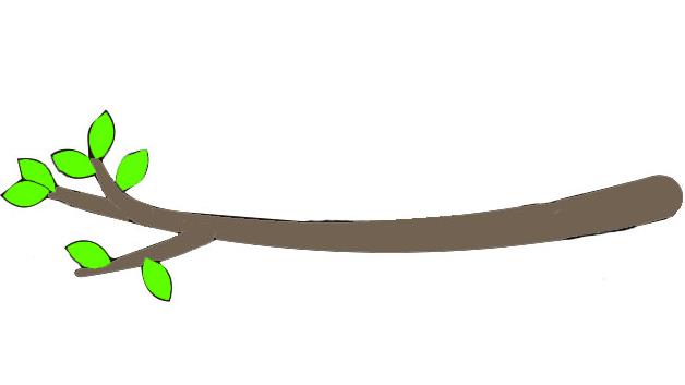 树枝简笔画怎么画 树枝简笔画步骤