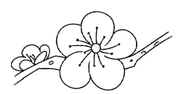 桃花简笔画 桃花简笔画彩色