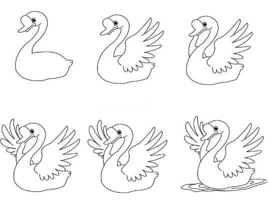 鹅简笔画 鹅简笔画图片