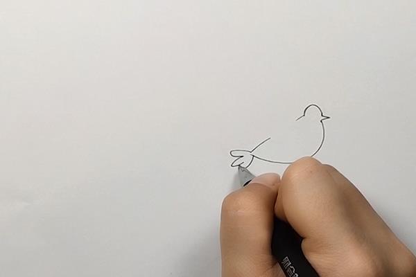 小鸟简笔画怎么画 小鸟简笔画画法