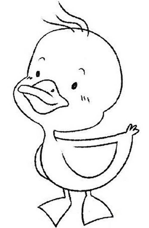鸭的简笔画图片大全 鸭的简笔画图片大全彩色