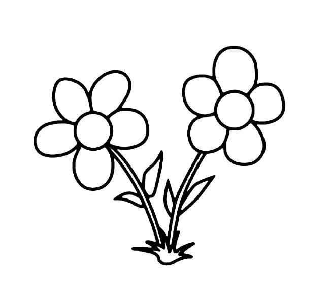 花草简笔画图片大全 儿童画花草简笔画图片大全