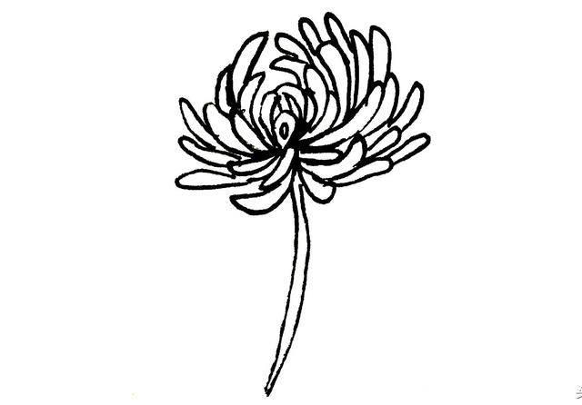菊花叶子简笔画 菊花叶子简笔画图片