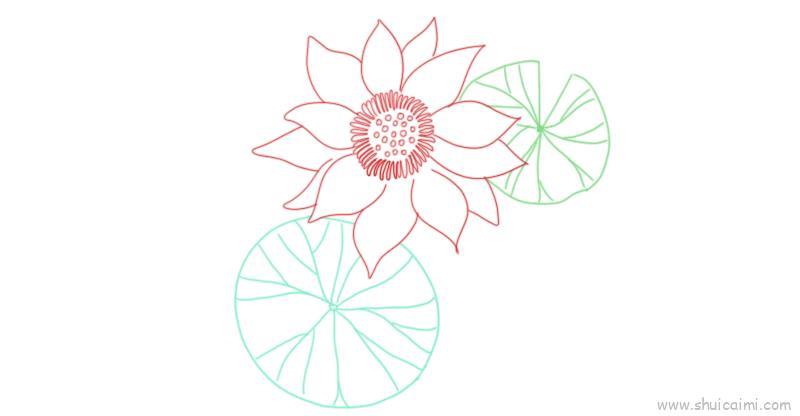 睡莲儿童画怎么画 睡莲简笔画简单