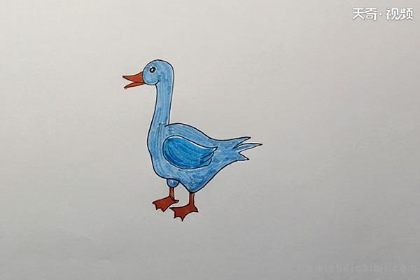 鸭简笔画怎么画 鸭简笔画图片大全