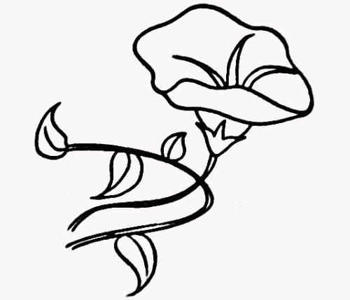 牵牛花的简笔画图片大全 牵牛花的简笔画图片大全彩色